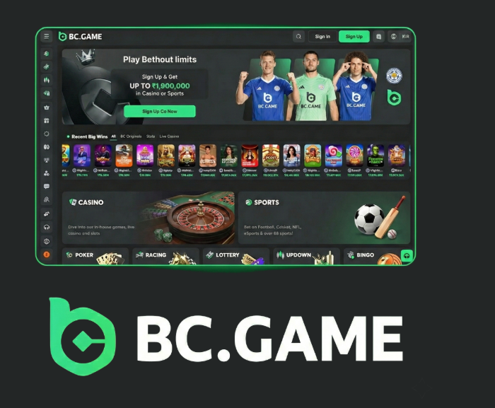 Experience the Thrill of BC.Game Online Casino 1816269553